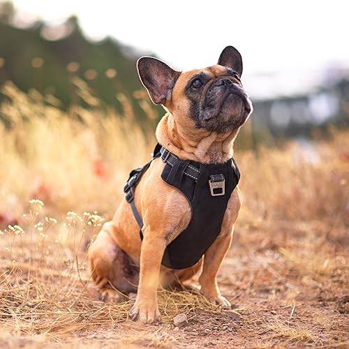 Miniatura 7 de Outward Hound Boulder Adventure Arnés ajustable para perro con bolsillos, negro, mediano