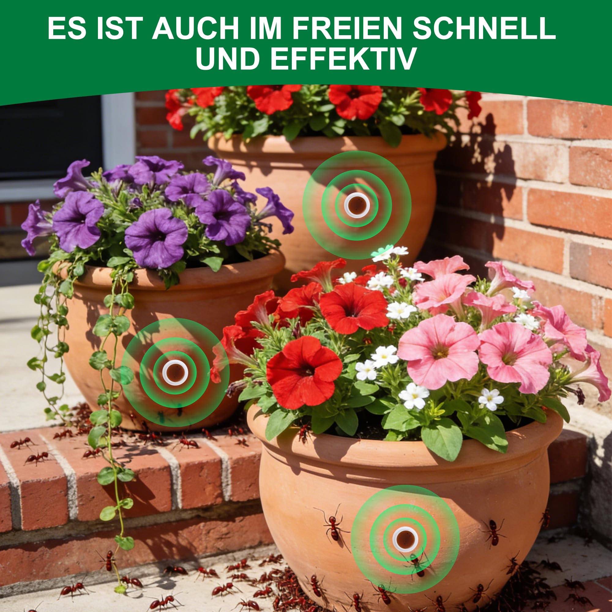 Ameisenköderstationen für den Innen, 64 Stück Ameisenköderdose mit Effektiver Sofortwirkung, Sicher für Haus und Garten
