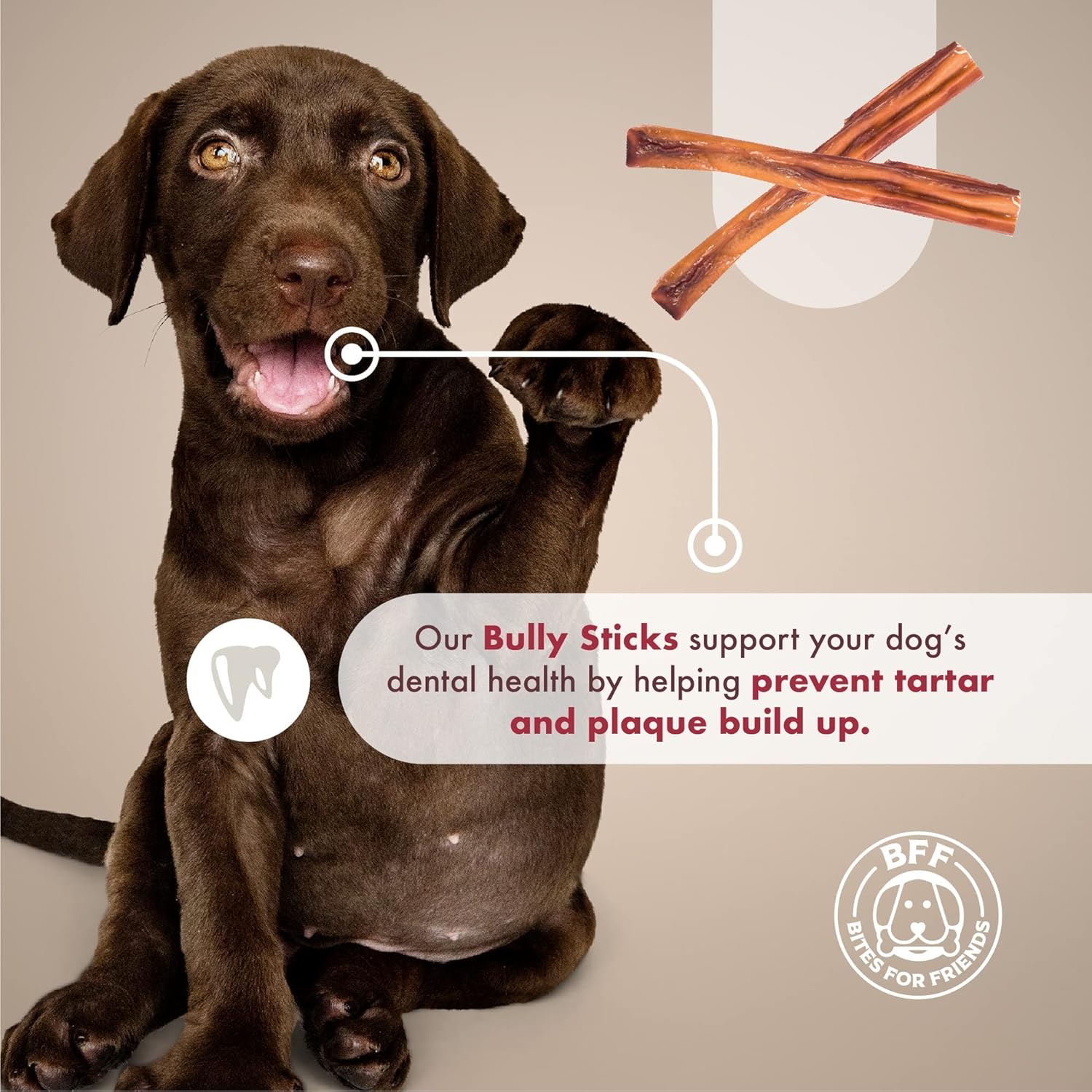 Bites for Friends Bully Sticks 6 inch Long Lasting Dog Treats, Natural No-Hide Grain-Free Gluten-Free Chews, Low Odor Treat for Small Medium and Large Breeds (10 Count)