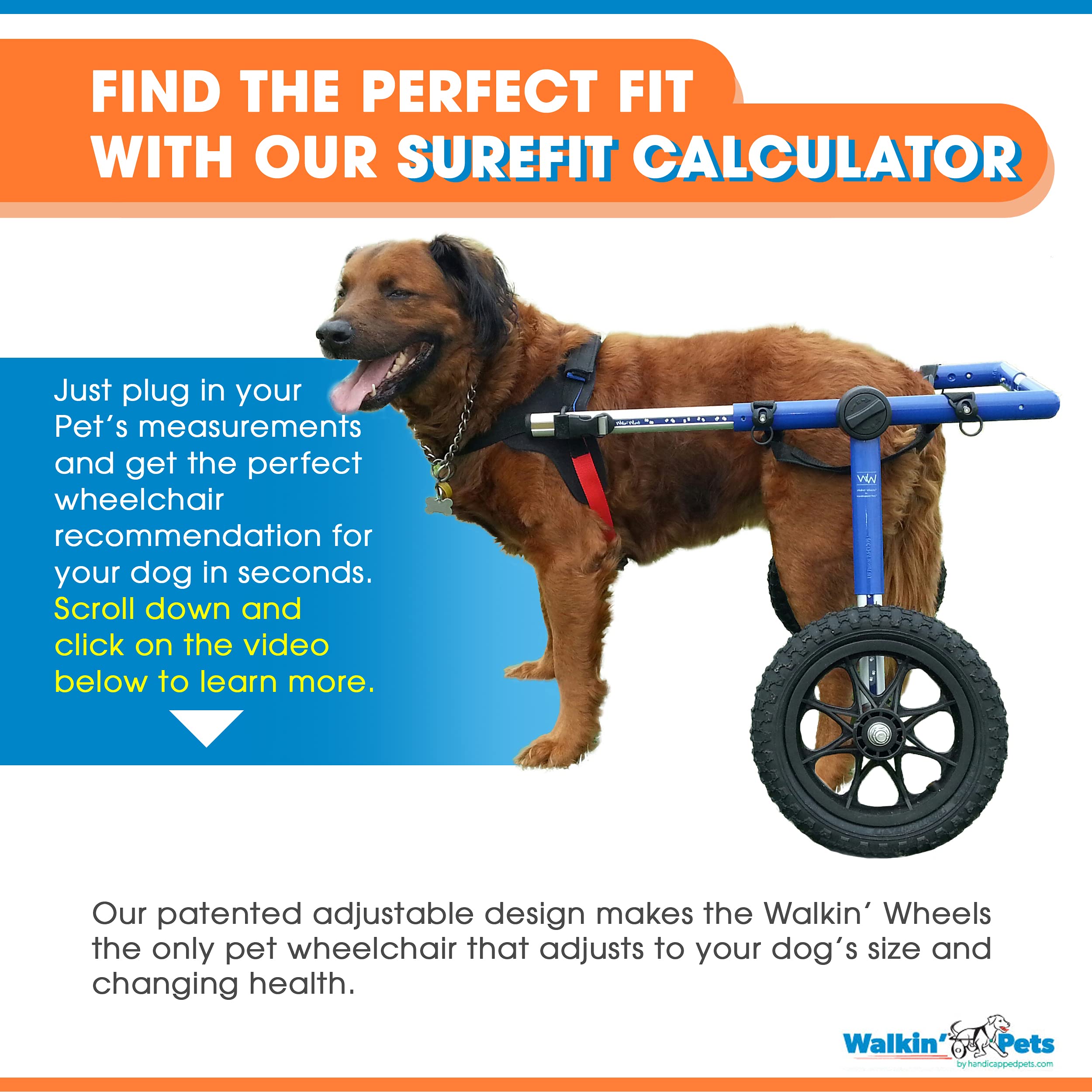 Walkin' Wheels Dog Wheelchair for Large Dogs 70180 Pounds