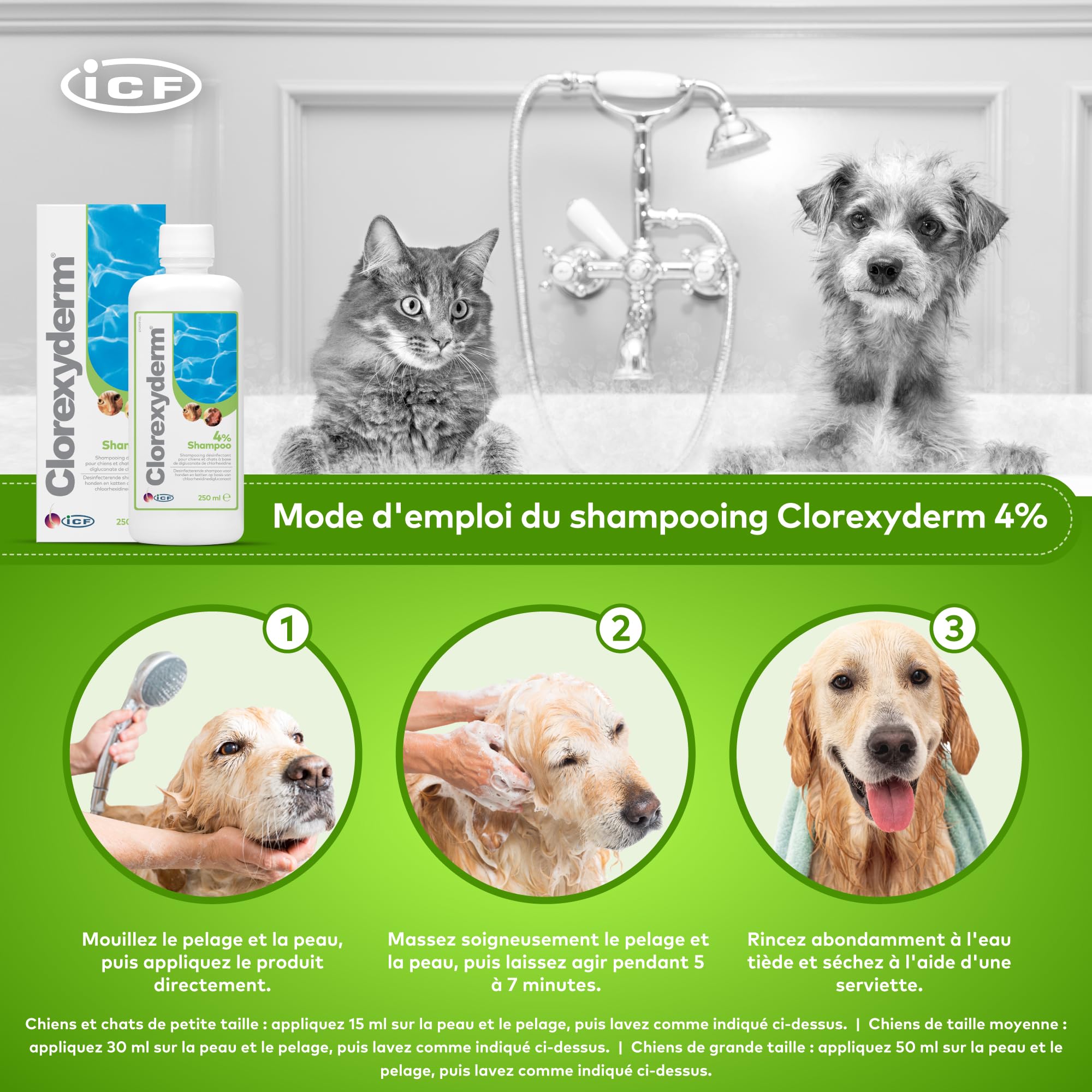 ICF | Clorexyderm 4% Shampoing Chien | Shampooing Chien Antiseptique, Hydratant et Anti Odeur pour Chien et Chat | Assainit, Hydrate et Protège la Peau | 250ml