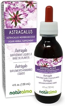Naturalma Astragalus Astragalus membranaceus Root Alcohol-Free Tincture - 4 fl oz Liquid Extract in Drops - Herbal Supplement - Vegan