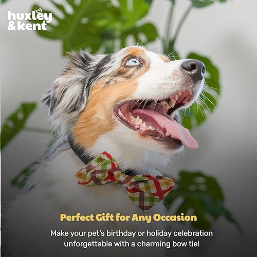 Miniatura 9 de Huxley & Kent - Corbatín para mascotas para perros y gatos - Collar ajustable de gancho y bucle para otoño - Accesorio lindo y cómodo para fiestas y