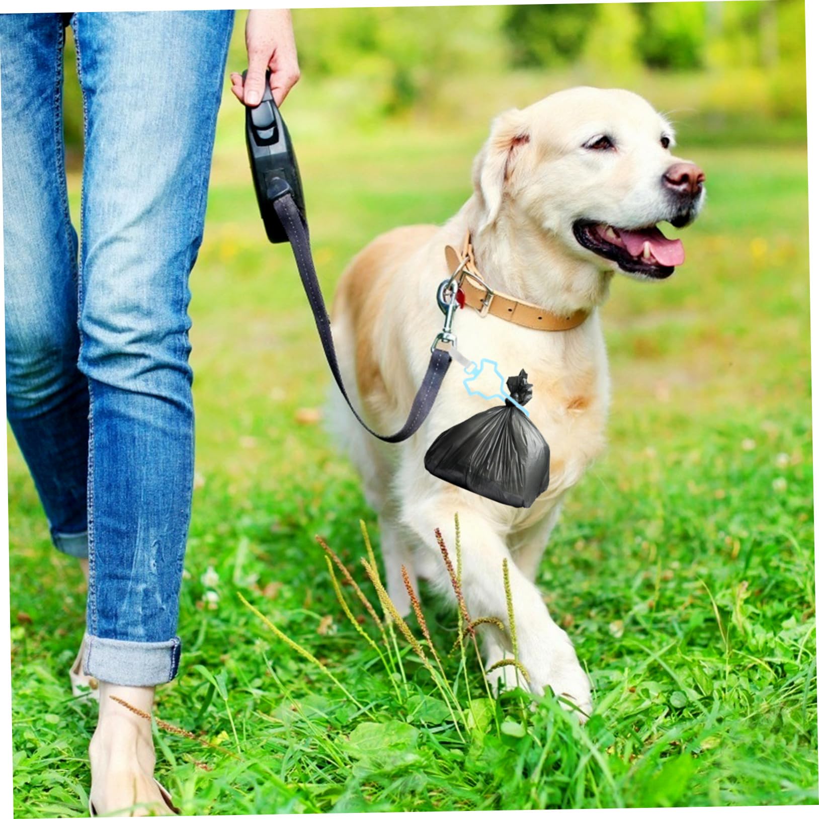 GALPADA 5 pièces Support à Déjections Canines Clip pour Laisse Distributeur Sacs Ramasse-crottes Chiot Accessoire Chien Pratique et Compatible Clé