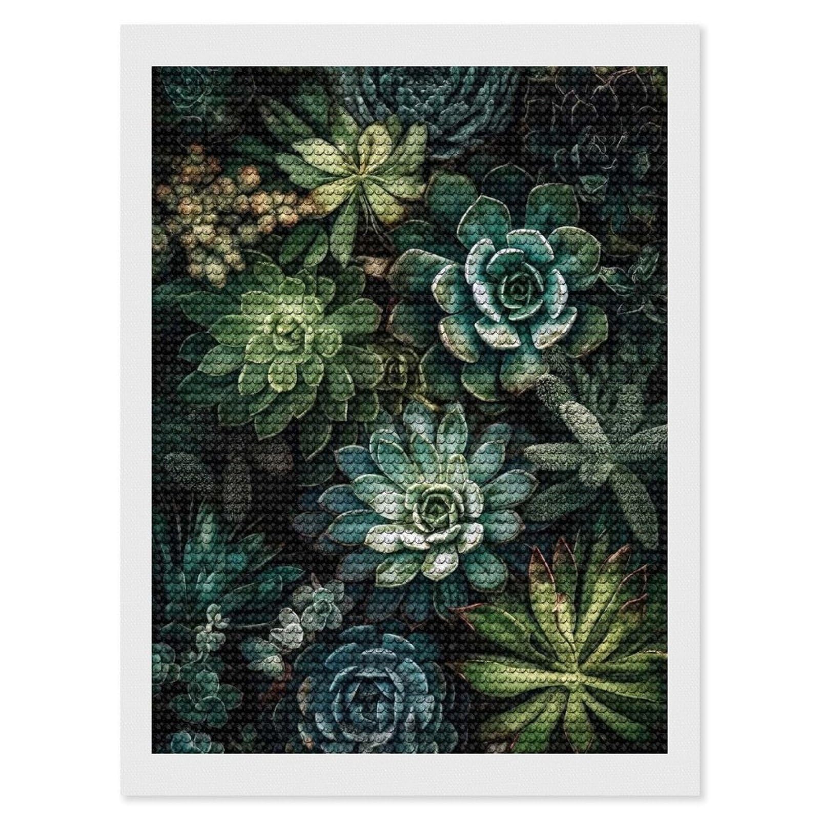 Junmoney Succulents Nature Art DIY Diamond Art Canvas Kit 12"x16", Decorate Your Room, Sparkling Round Gems, Fun Craft Experience, Farmhouse Decor