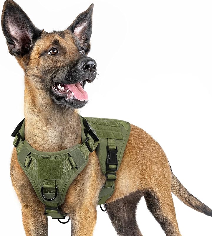 Peitoral Vest Tático para Cães Pequenos rabbitgoo em Nylon 1050D com Sistema MOLLE e 2 Pontos de Guia