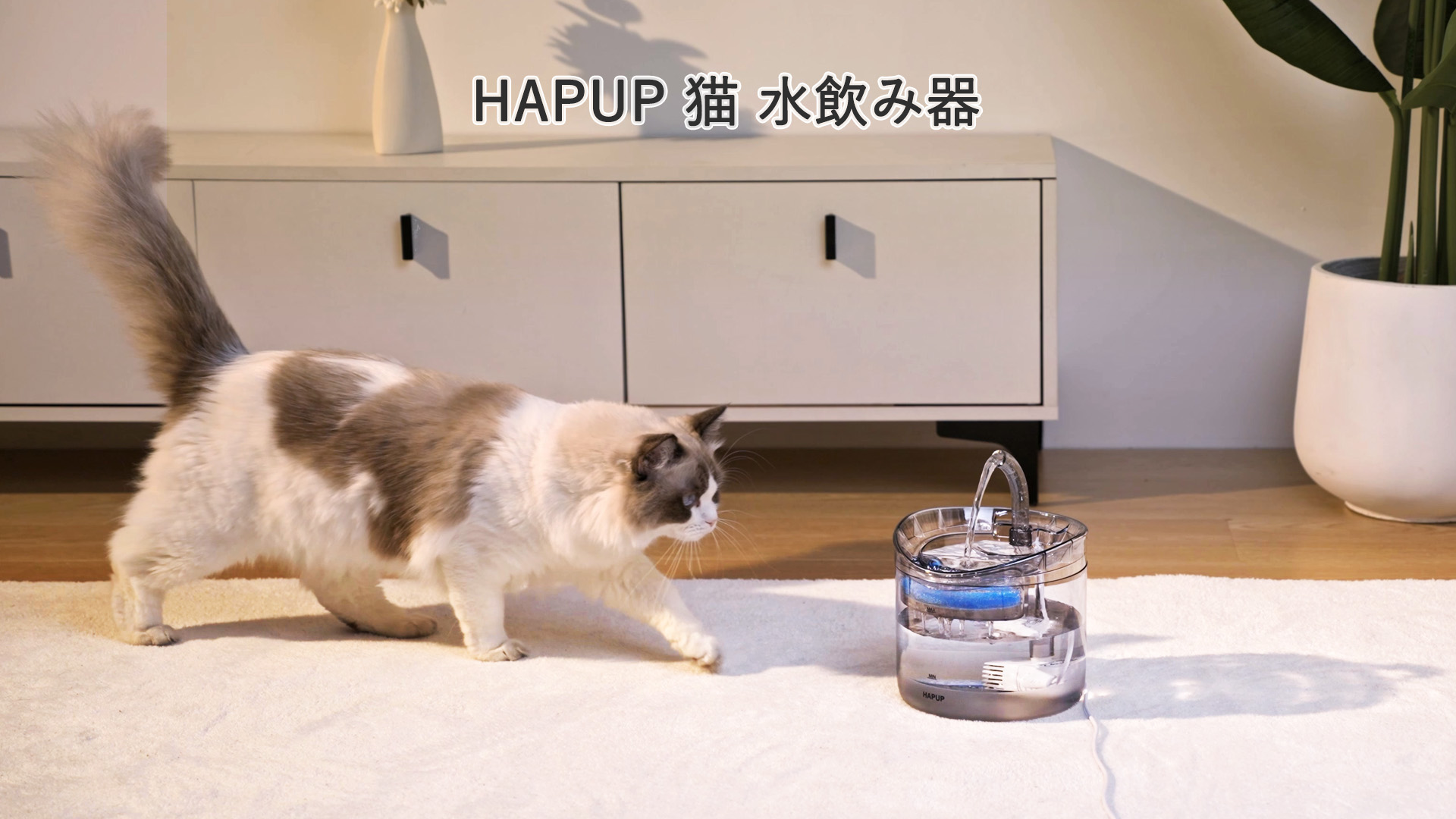 Amazon | HAPUP猫 水飲み器 猫 みずのみ 自動ペット給水器 循環式のに
