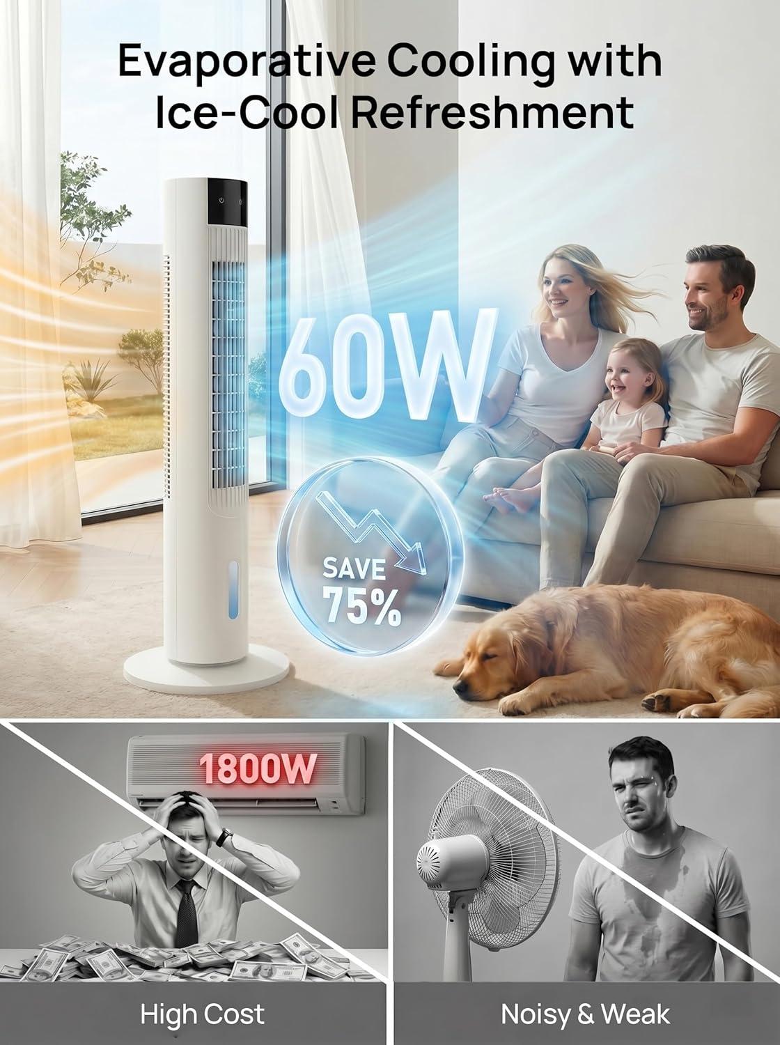 https://m.media-amazon.com/images/I/81AMvj9oe5L._AC_SL1500_.jpg