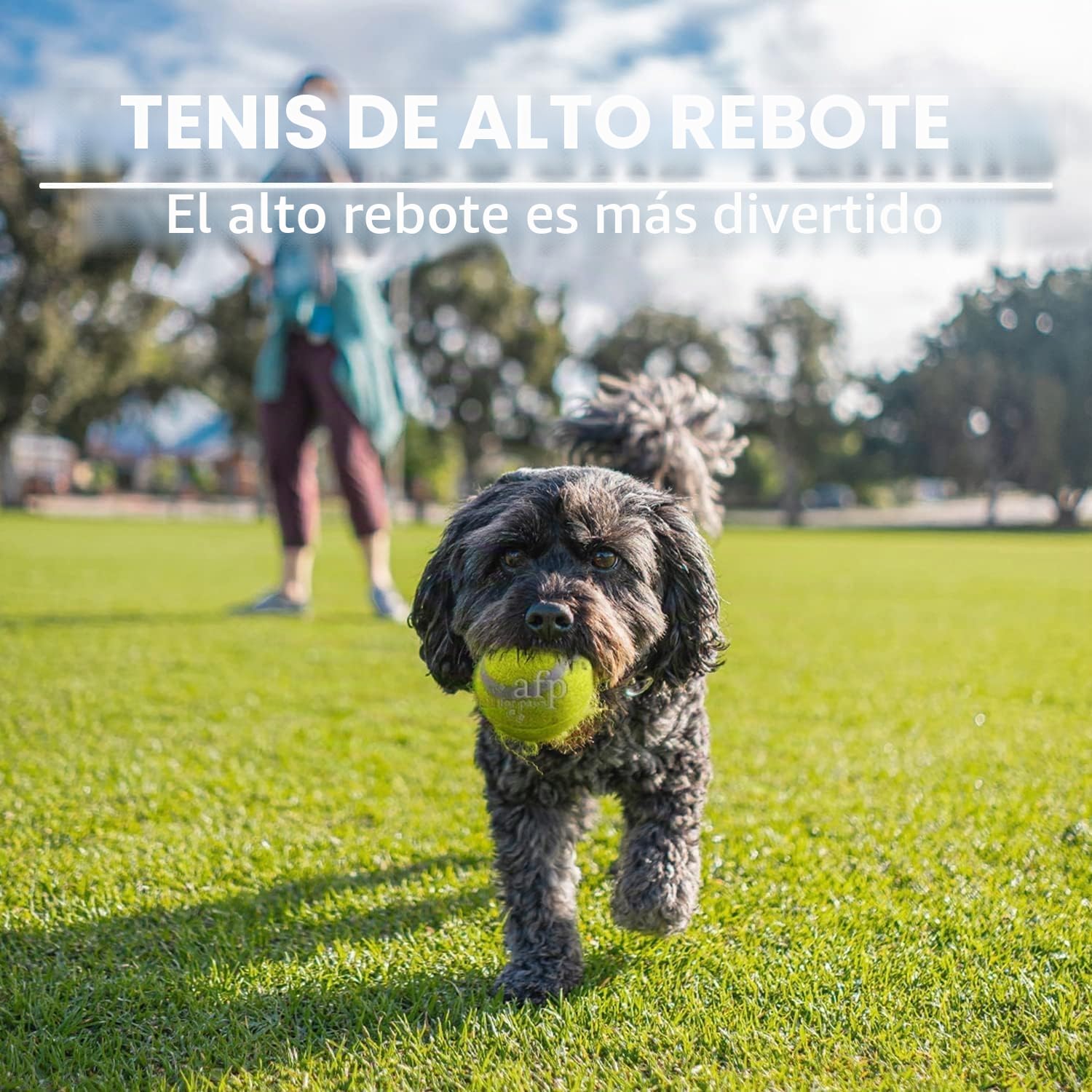 ALL FOR PAWS 6PCS Pelotas de Tenis de 2" para Perros, Juguetes de Buscar y Traer para Perros Pequeños y Medianos, Pelotas de Tenis Saltarinas y Duraderas para Lanzador de Pelotas