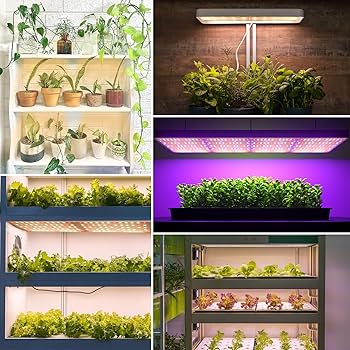 Derlights 植物育成ライト 16本セット 暖色系 LEDチップ Amazon.co.jp: Derlights 植物育成ライト 8枚セット 三つ照明モード 十