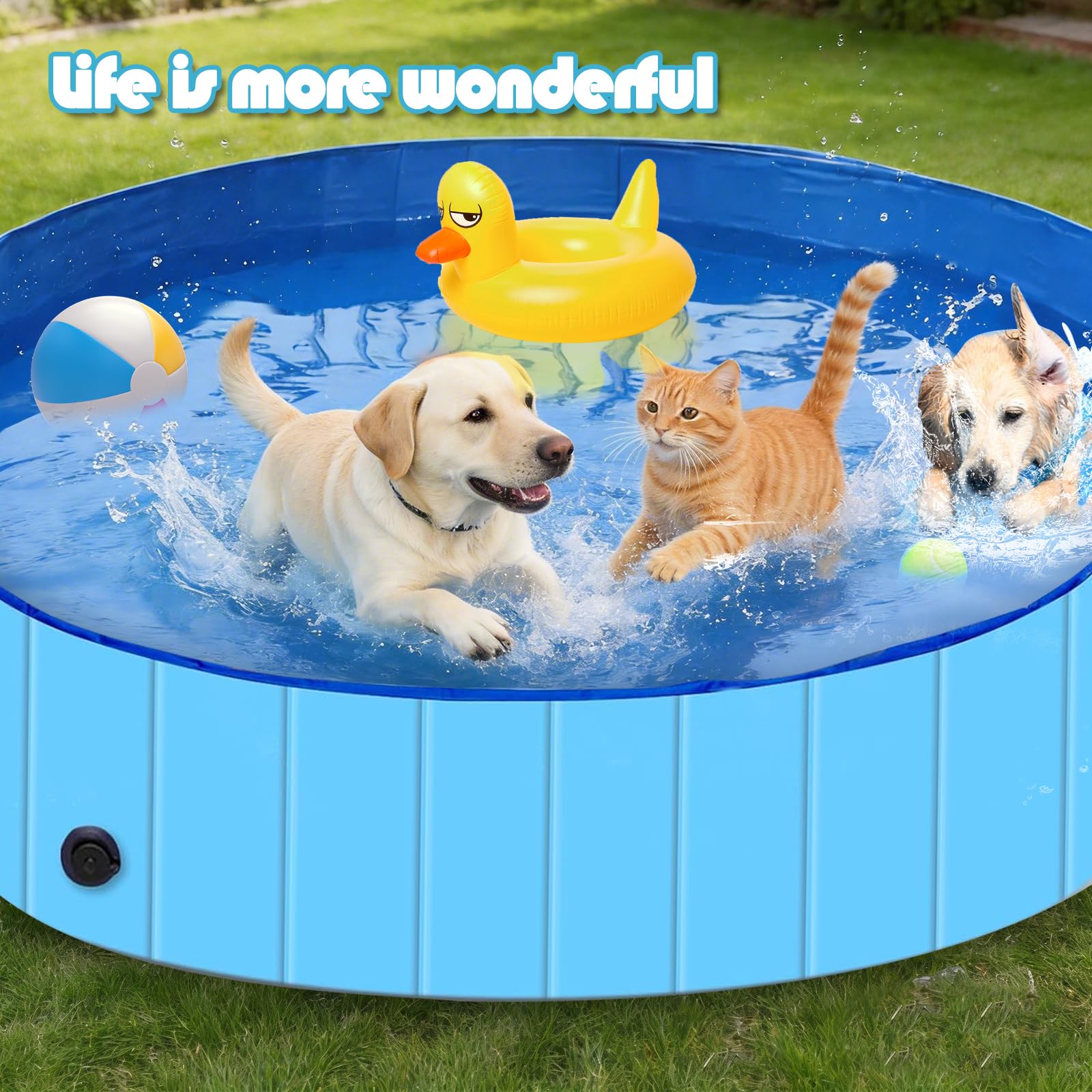 Hundepool, 160cm*30cm, Zusammenklappbarer Robuster Wasserdichter Schwimmpool für Kleine, Mittelgroße & Große- Anti-Rutsch Badewanne mit Verschleißfester Oberfläche für Katzen und Hunde im Garten