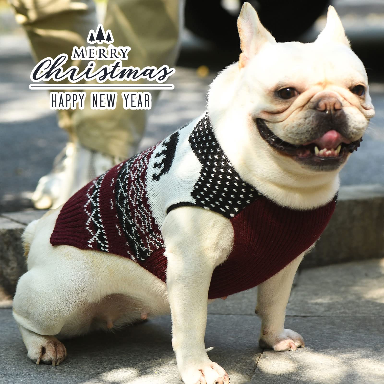 Amazon | UETZLTB 犬 クリスマス セーター 暖かい 秋冬 Vネック ニット
