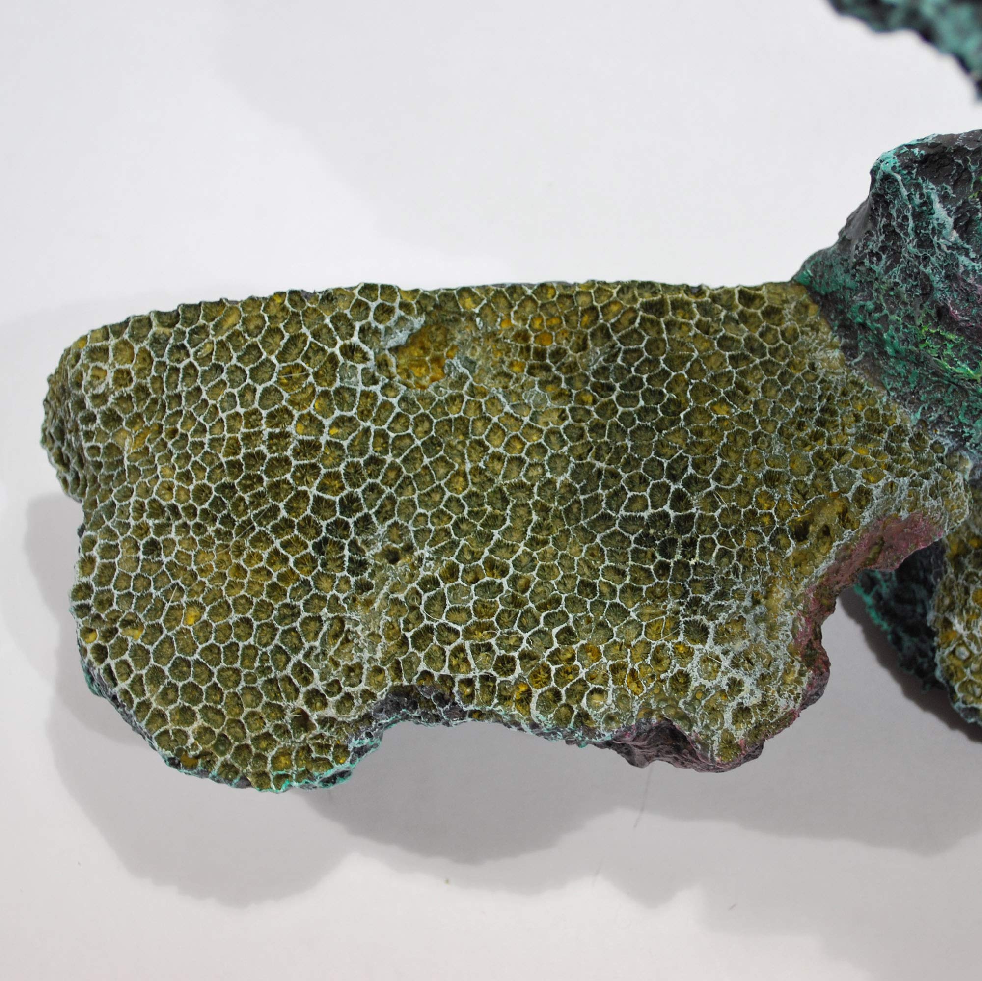 3D Riffgestein 62 x16 x30 cm, Aquarium Riff, Meerwasser Felsen Nachbildung