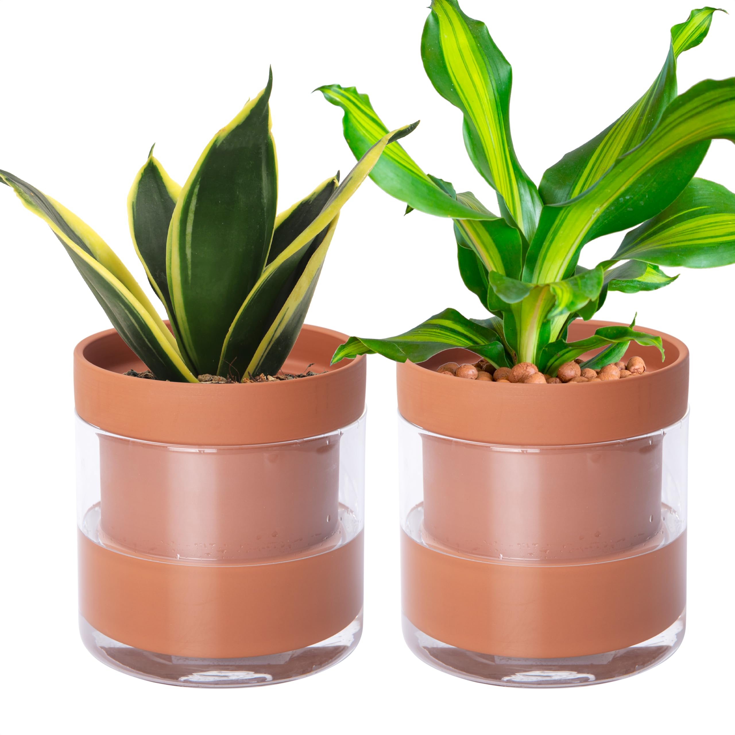 Phoenix Vine 6 Inch Terracotta Planter, Set of 2