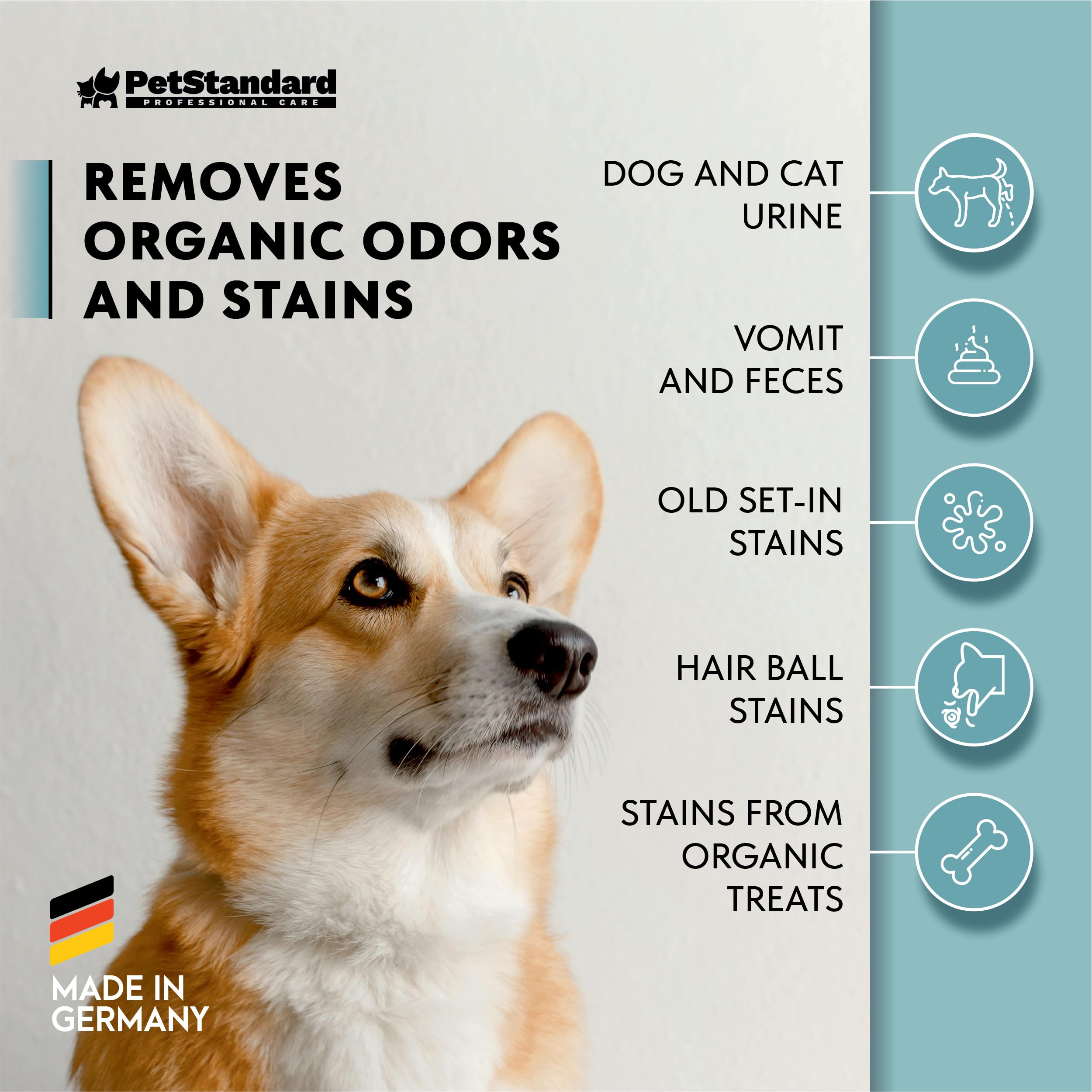 PetStandard Enzymatyczny środek czyszczący do moczu kota i moczu psa – środek do usuwania plam i zapachów do dywanów i tapicerek | ekstra siła piany | Made in Germany | 750 ml