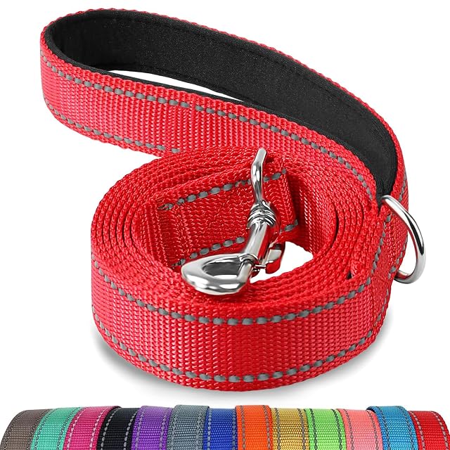 Joytale Correa para Perro Reflectante de Doble Cara, Correa para Perros con Mango Acolchado