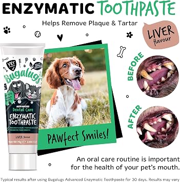 Bugalugs Dog and Cat Toothbrush and Paste Kit - Teeth Cleaning and Breath Freshener