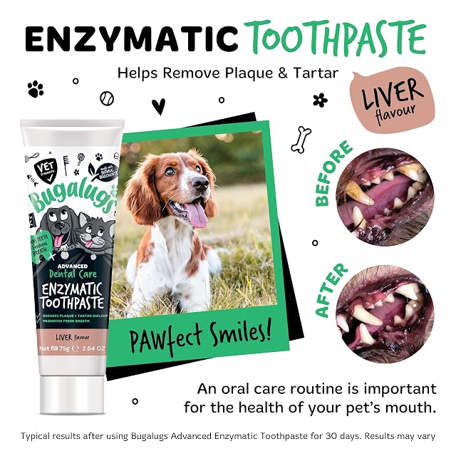 Foto 7 de 8 de Bugalugs Kit de cepillo de dientes y pasta para perros y gatos, limpieza de dientes y ambientador del aliento