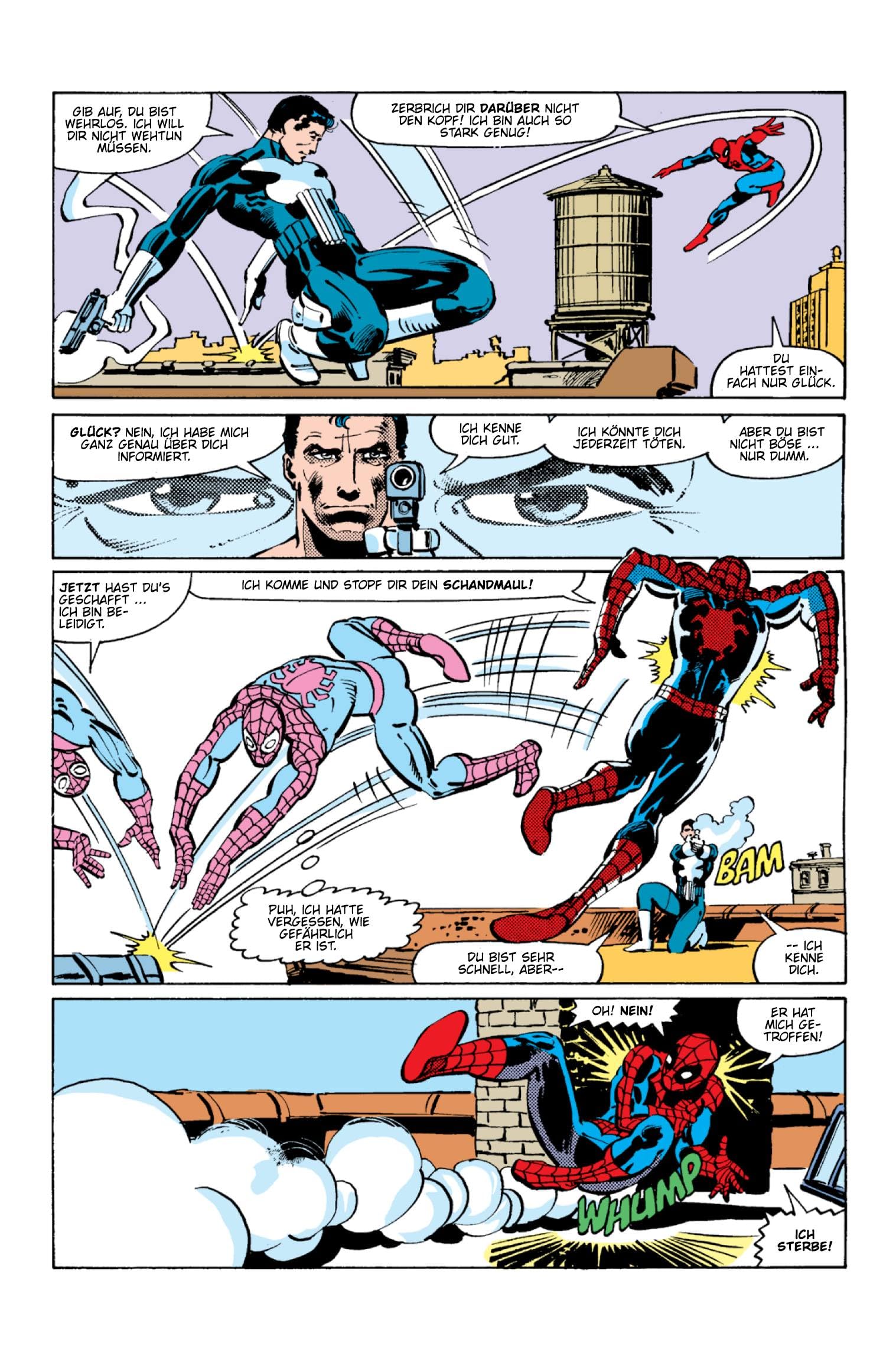 Punisher Anthologie: Bestrafer und Vollstrecker