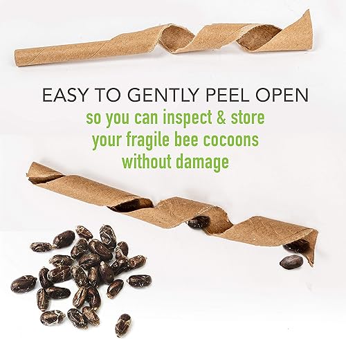 Miniatura 2 de Rivajam Insertos de papel de anidación de abejas | Paquete de 125 piezas | Beekeeper Pro Edition | Insertos de repuesto naturales para Mason Bee