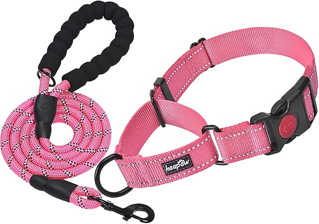 haapaw Martingale Dog choke Collar with Quick Release Buckle Reflective Dog Training Collars for Small Medium Large Dogs