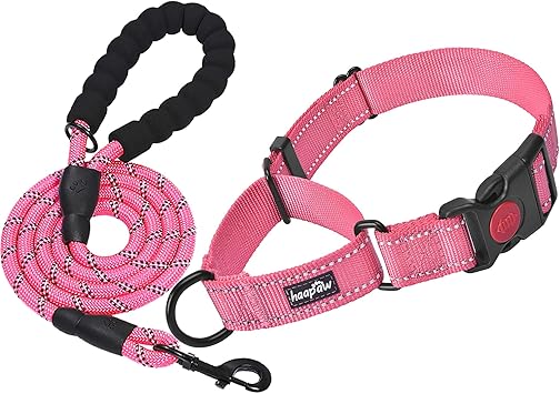 haapaw 2 Packs Martingale Dog Collar with Quick Release Buckle Reflective Dog Training Collars for Small Medium Large Dogs