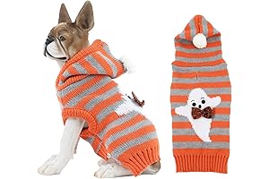 Cats Only Halloween Cat Sweaters
