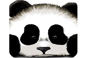 Panda Perfectness: Your Office Gaming Ally