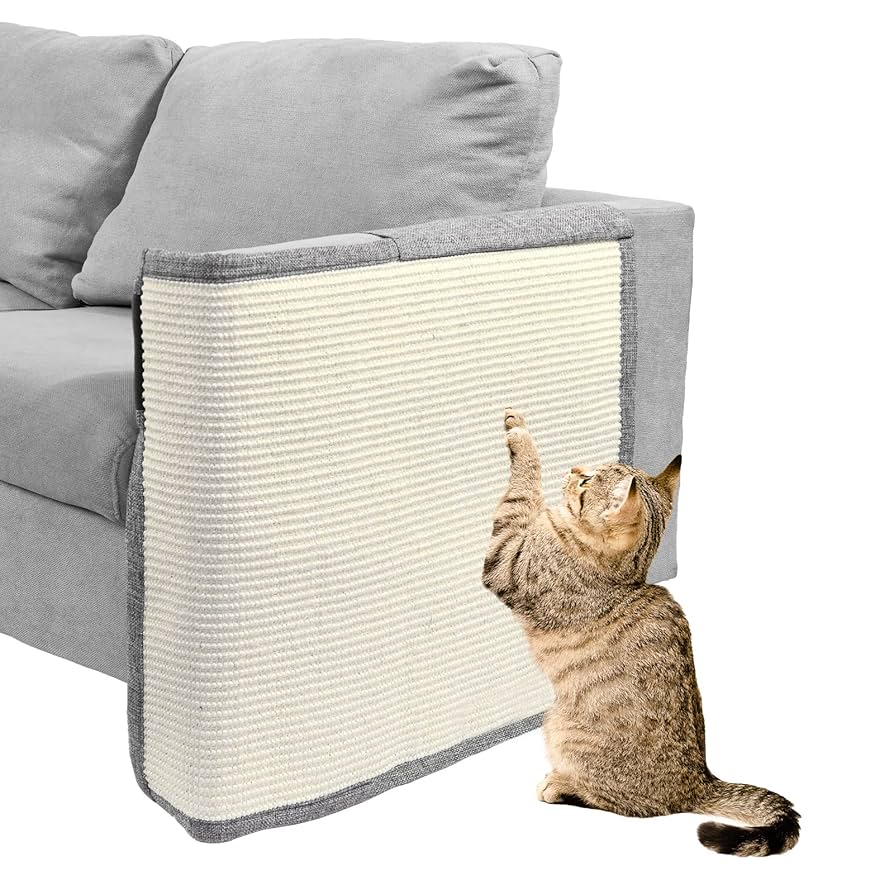 How to Prevent a Cat from Scratching a Couch: Effective Tips
