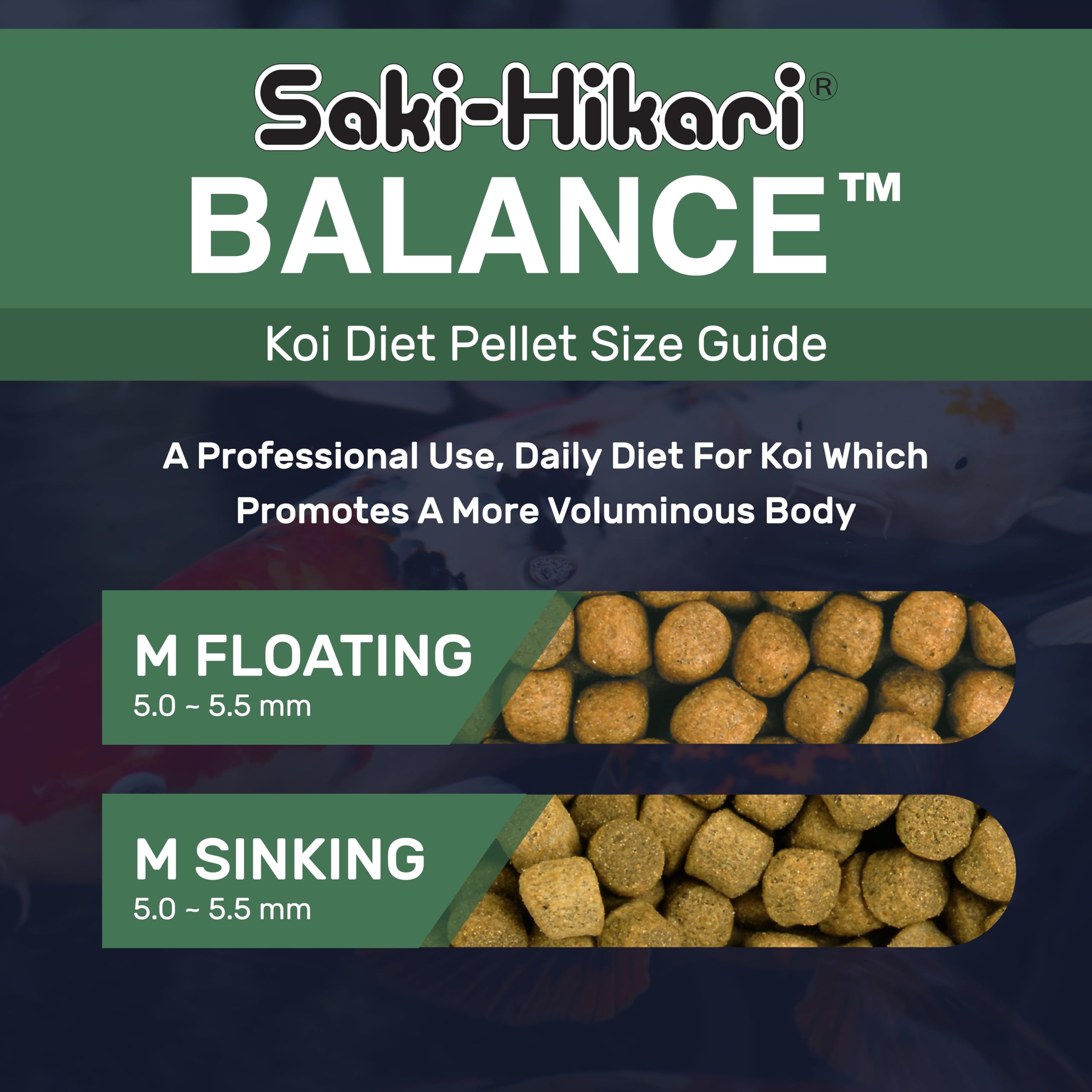 Hikari saki-hikari Balance Dieta Básico MEDIANA 5kg 5000g