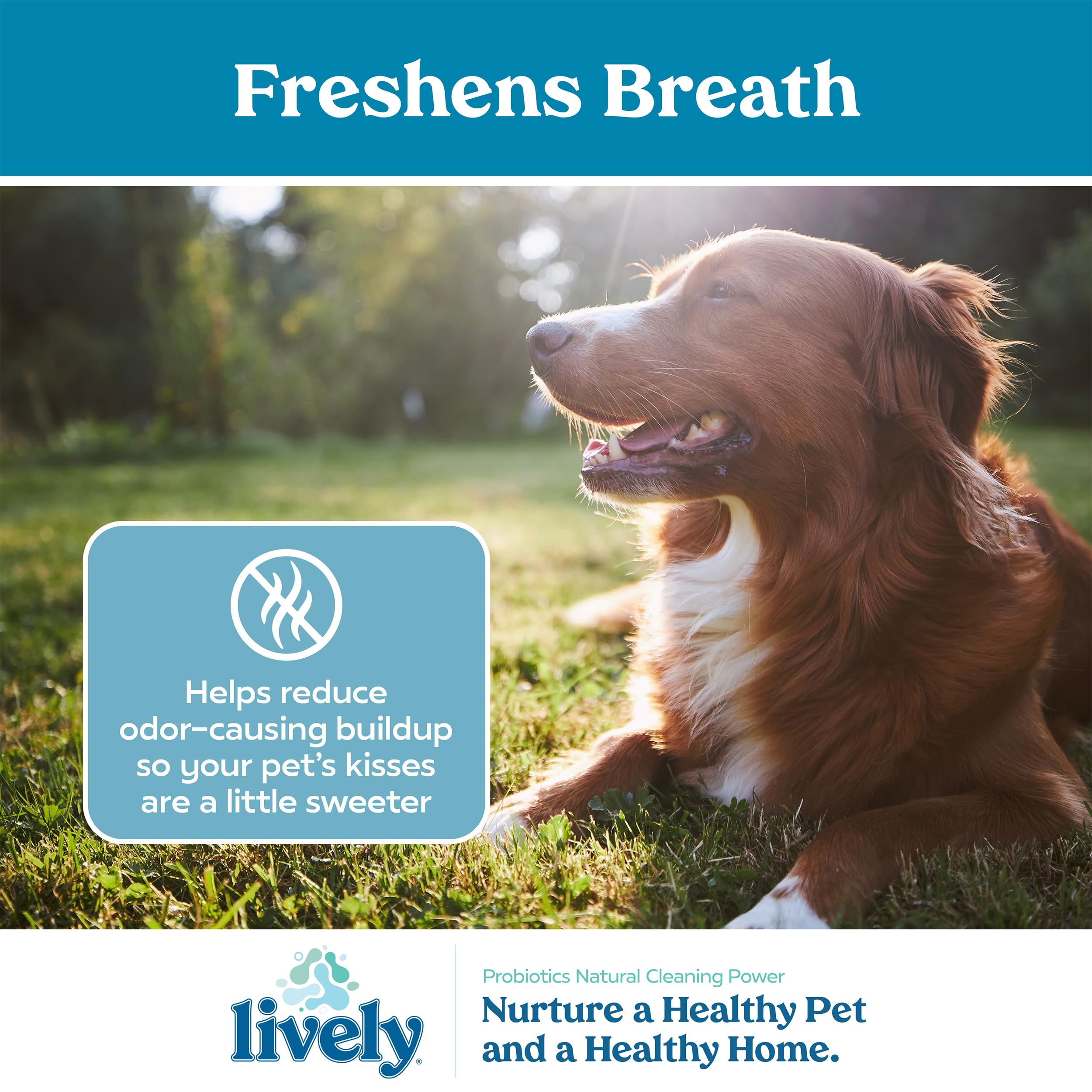 Lively Pet Breath & Dental Health Water Additive - image 3