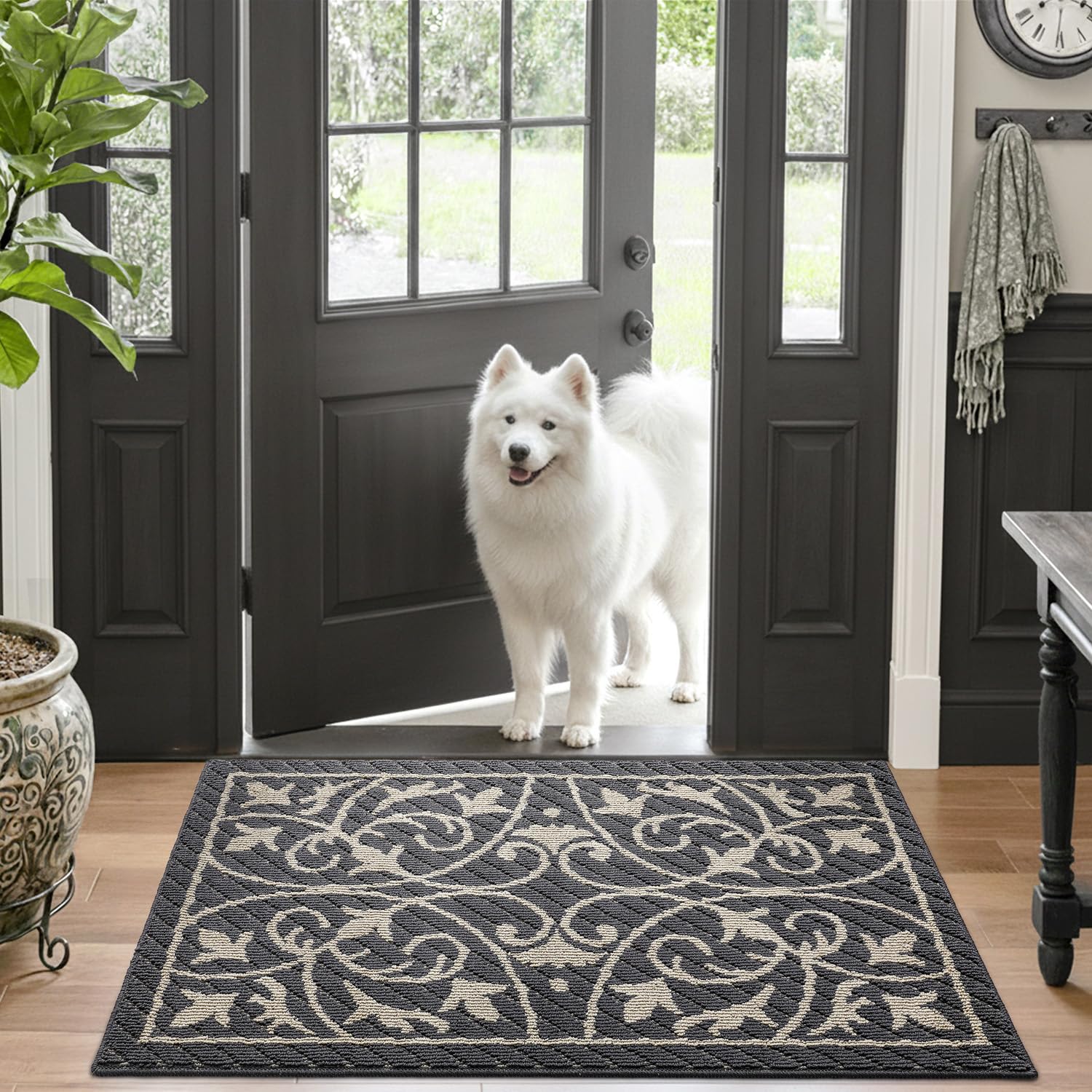 DEXI Tapis d'entrée intérieur pour porte d'entrée, tapis de bienvenue à profil bas, fin, antidérapant, lavable, pour sol de maison, capte la saleté, 81 x 122 cm, gris foncé