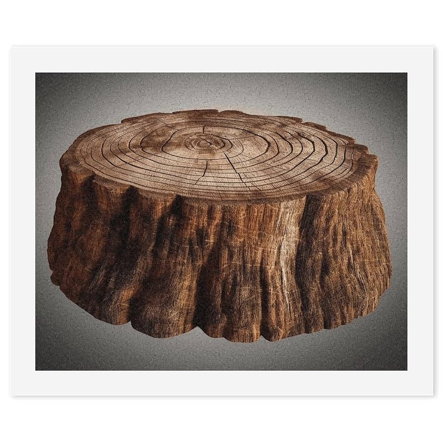 樫の木の切り株 maxresdefault.jpg