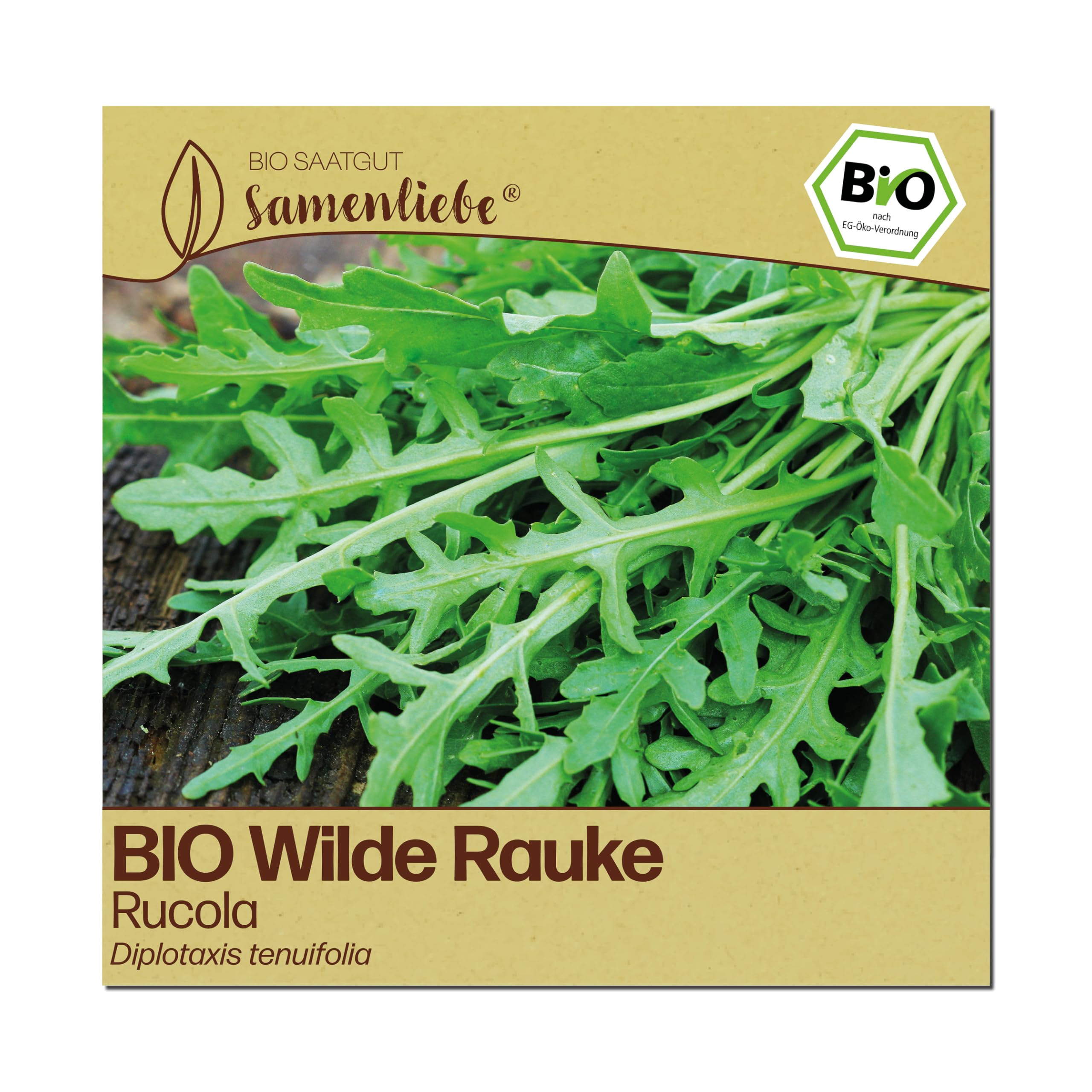 Samenliebe BIO Wilde Rauke Samen | Rucola - winterhart & mehrjährig - samenfestes BIO Saatgut