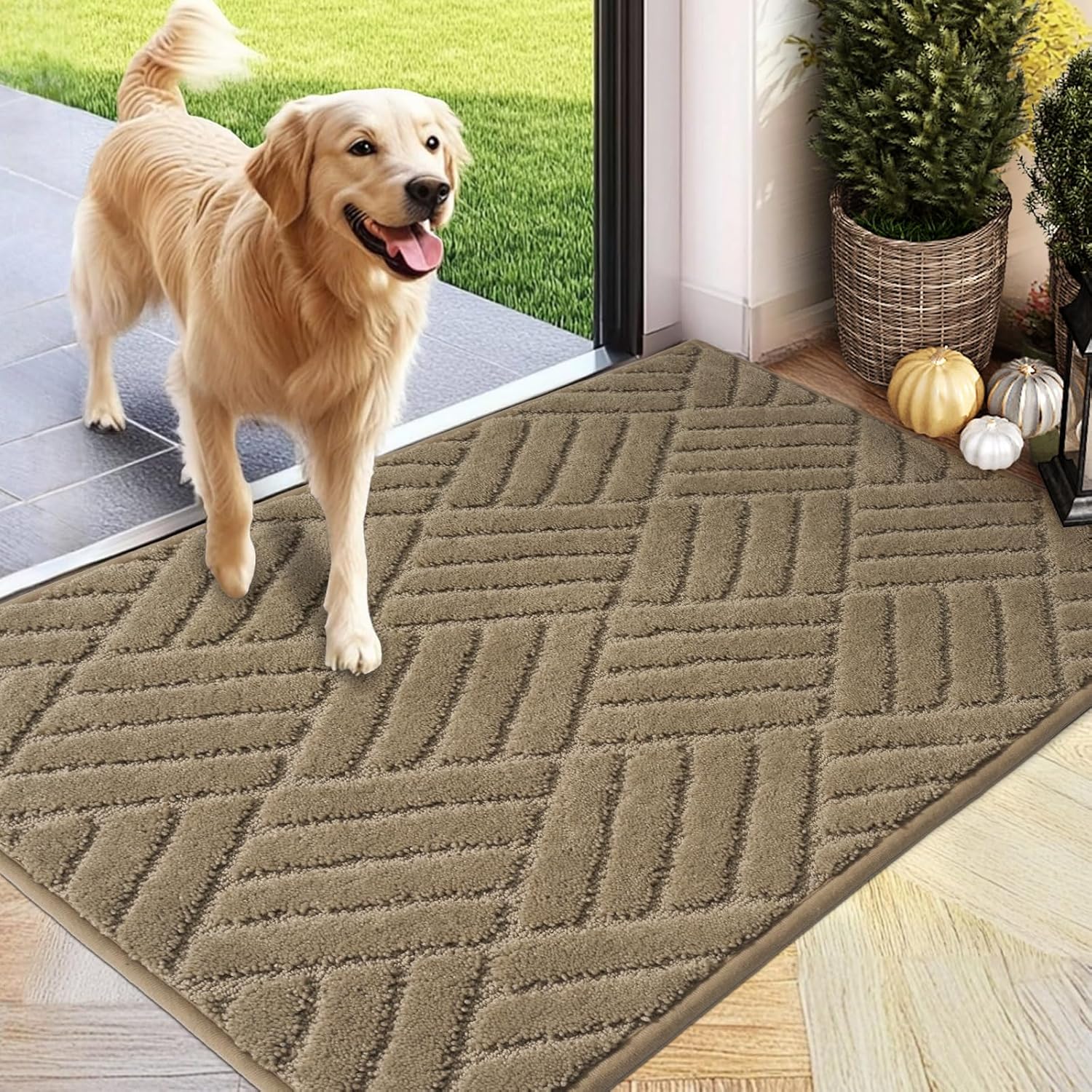 Front Door Mat, Absorbent Dirt Trapper Welcome Door mat Indoor, Non Slip Machine Washable Entryway Rug, Dog Door Mat, Shoes Scraper, Low Profile Doormat for Inside Floor, 20x32, Taupe