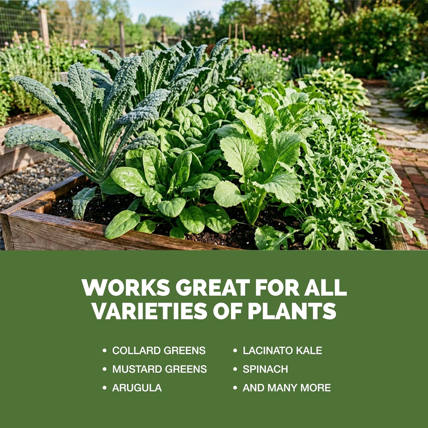 High Nitrogen Fertilizer for Plants – Liquid Plant Food for Rapid Green Growth, Deep Leaf Color & Strong New Foliage, 1 Gallon