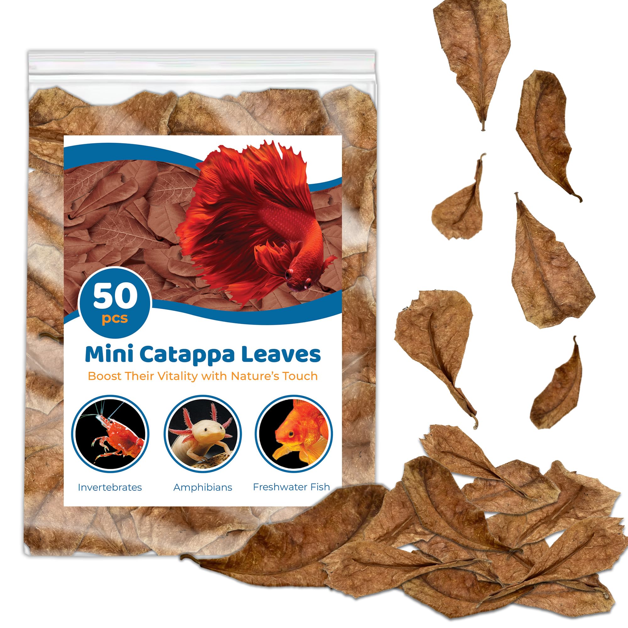 SunGrow 50 Pcs Mini Catappa Indian Almond Leaves for Betta Fish Aquarium, Shrimp, Frogs, Improves Habitat, Gives Tea Color, Helps in Lowering Aquarium Water pH, Improves Immunity