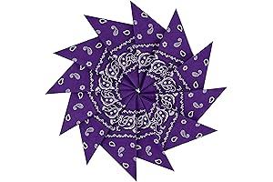 Purple Bandanas: A Vivid Dodecad for Vibrant Expressions