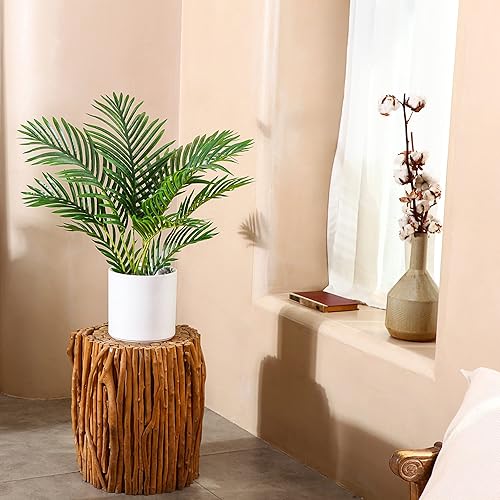Miniatura 8 de Fopamtri - Palmera majestuosa artificial, Ravenea rivularis, en maceta para interiores, al aire libre, en casa, oficina, tienda excelente regalo