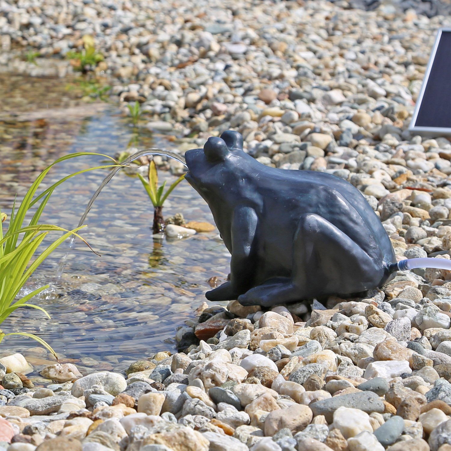 CLGarden Solar Wasserspeier Frosch NSP9 Springbrunnen für Teich mit Pumpe