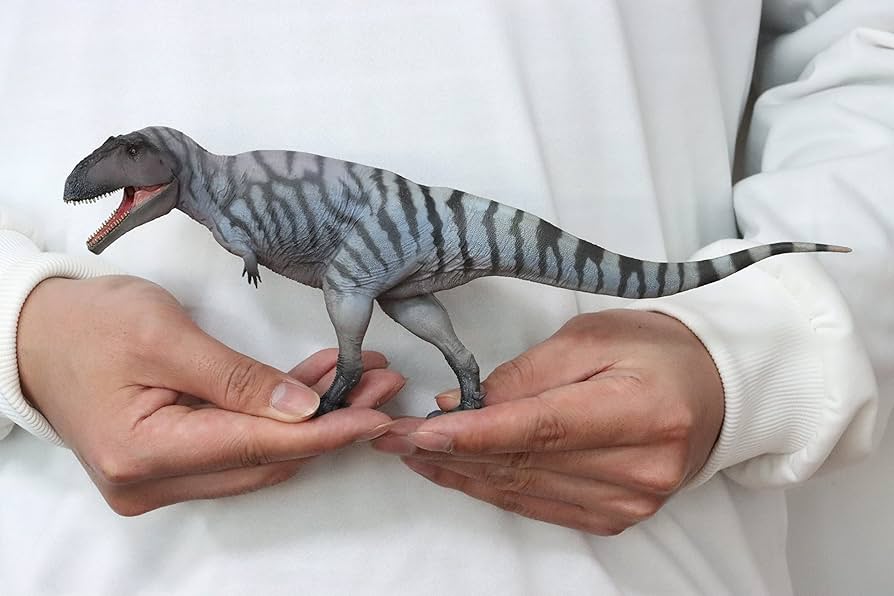 Amazon | BACALYSO | PNSO 成長シリーズ 69 メラクセス 30.2cm級