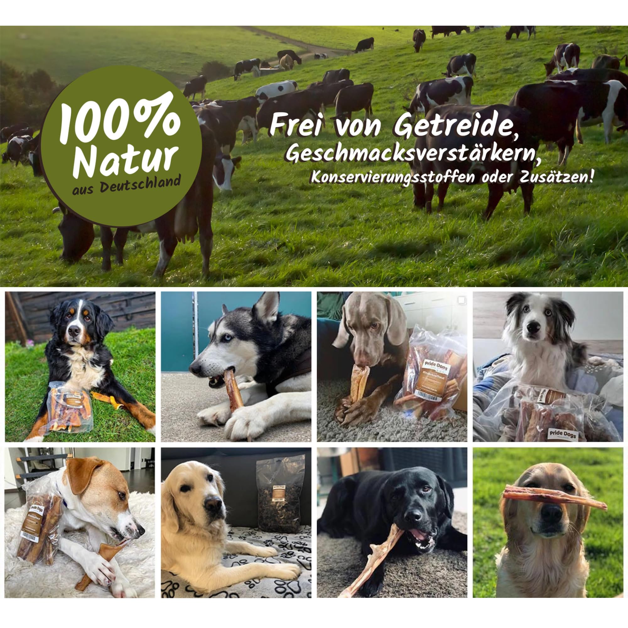 PrideDogs Trainingshappen Rind 1kg - Premium Kausnack für Hunde - 100% Rind Rinderlunge Würfel für Leckerlibeutel Training