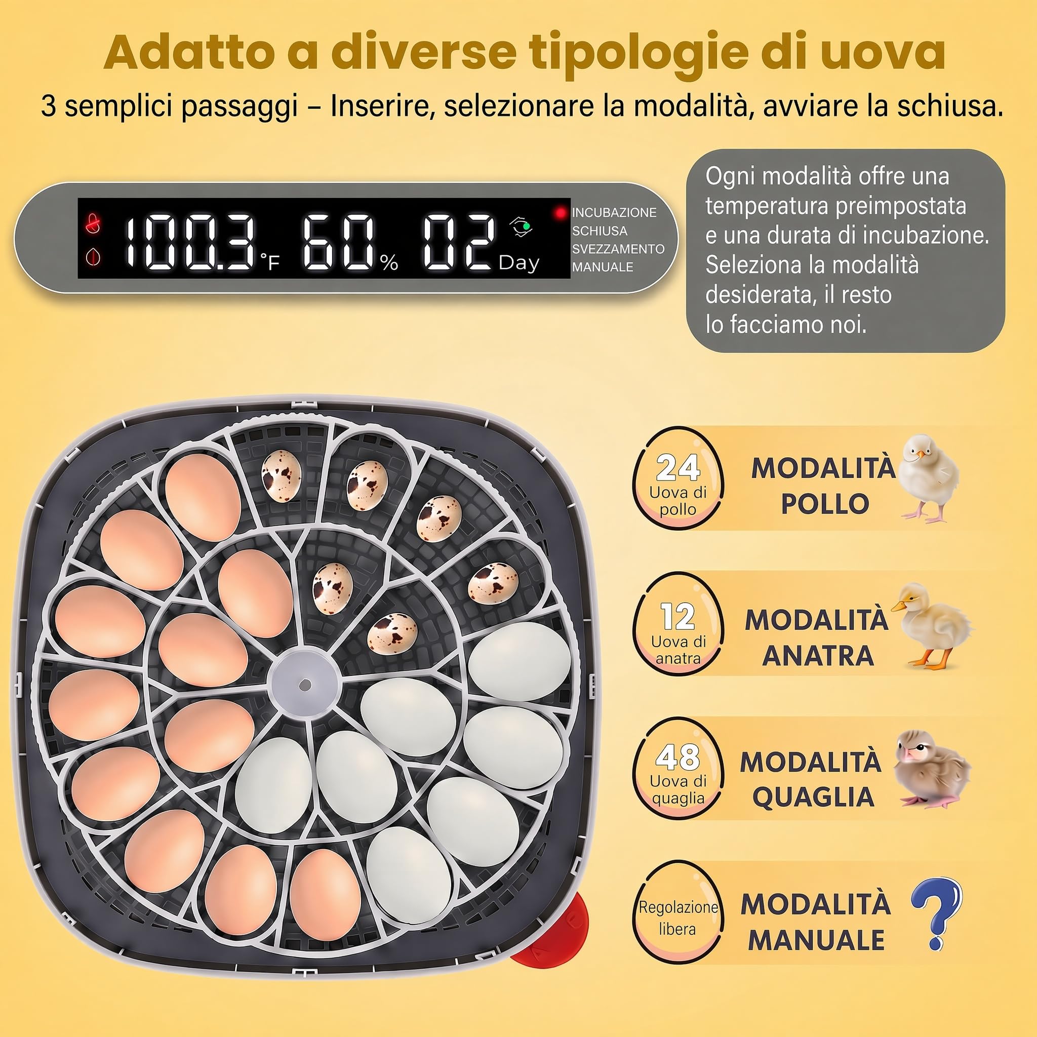 Sailnovo incubatrice automatica per 24 uova, 4 modalità per volatili, con girauova automatico, controllo temperatura e allarme umidità, per uova di gallina, anatra e quaglia (Grigio)