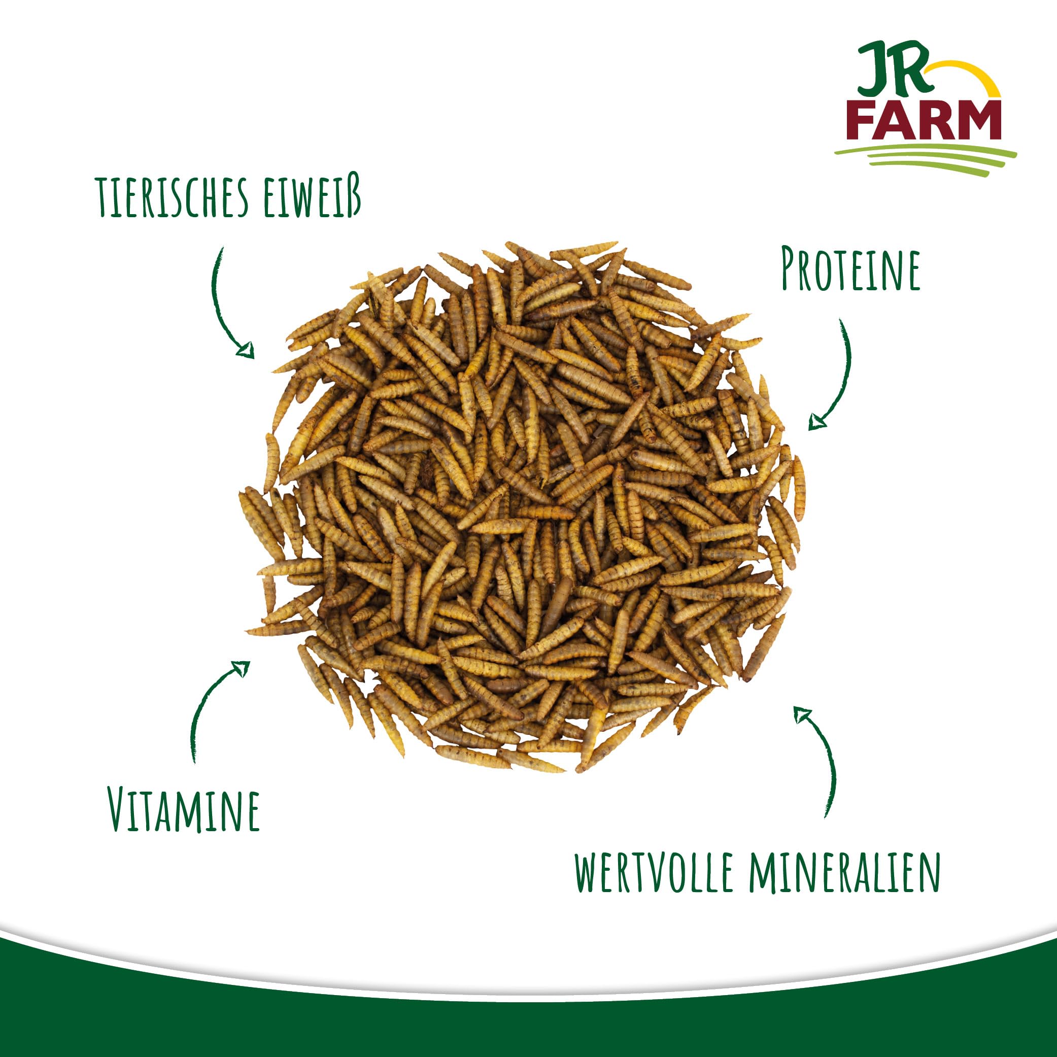 JR Farm Garden Hermetia/Soldatenfliegenlarven 10 kg
