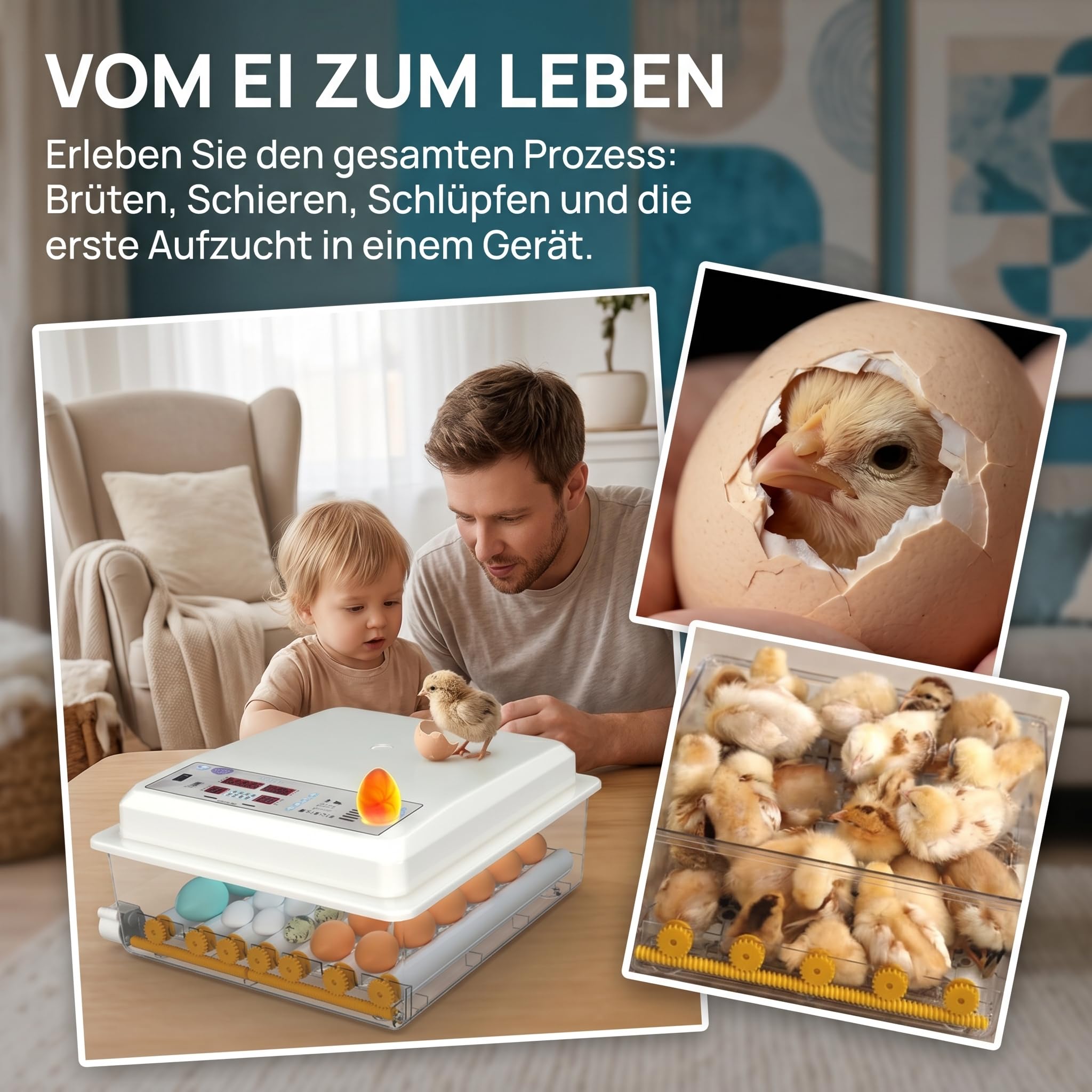 Brutautomat Vollautomatisch,Inkubator Hühner 16-120 Eier mit Automatischem Eierwenden und Automatischer Wasserzugabe,Brutkasten Hühner mit Vier Automatischen Inkubationsmodi für Huhn,Ente,Gans (36)
