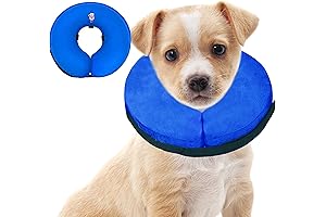 Pawesome Puppy Recovery Cone: The Painless Alternative for Your Canine Companion's Journey to Health