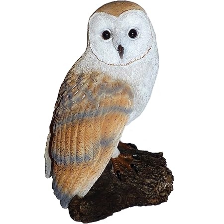 Amazon.com : Barn Owl on a Stump by Michael Carr Designs - Outdoor Owl