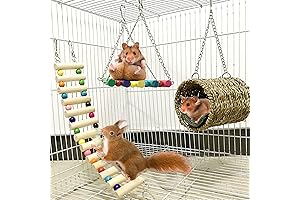 Hamiledyi Ewolee Hamster Hanging Toy - Pamper Your Tiny Pals with Aerial Delights