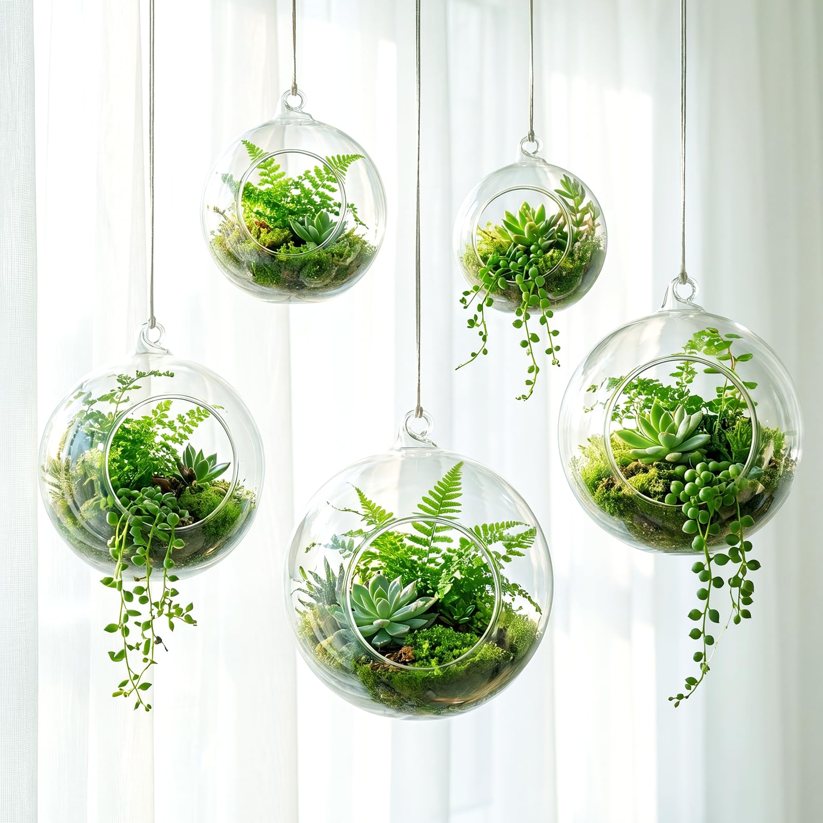 Photo 1 of SiliFine 5 Pack Varied Sizes Hanging Planters Glass Terrarium 2.36" to 5.91" Hanger Air Plant Terrarium Globe Glass Wall Hydroponic Propagation Containers High Borosilicate Vases for Home Office Decor