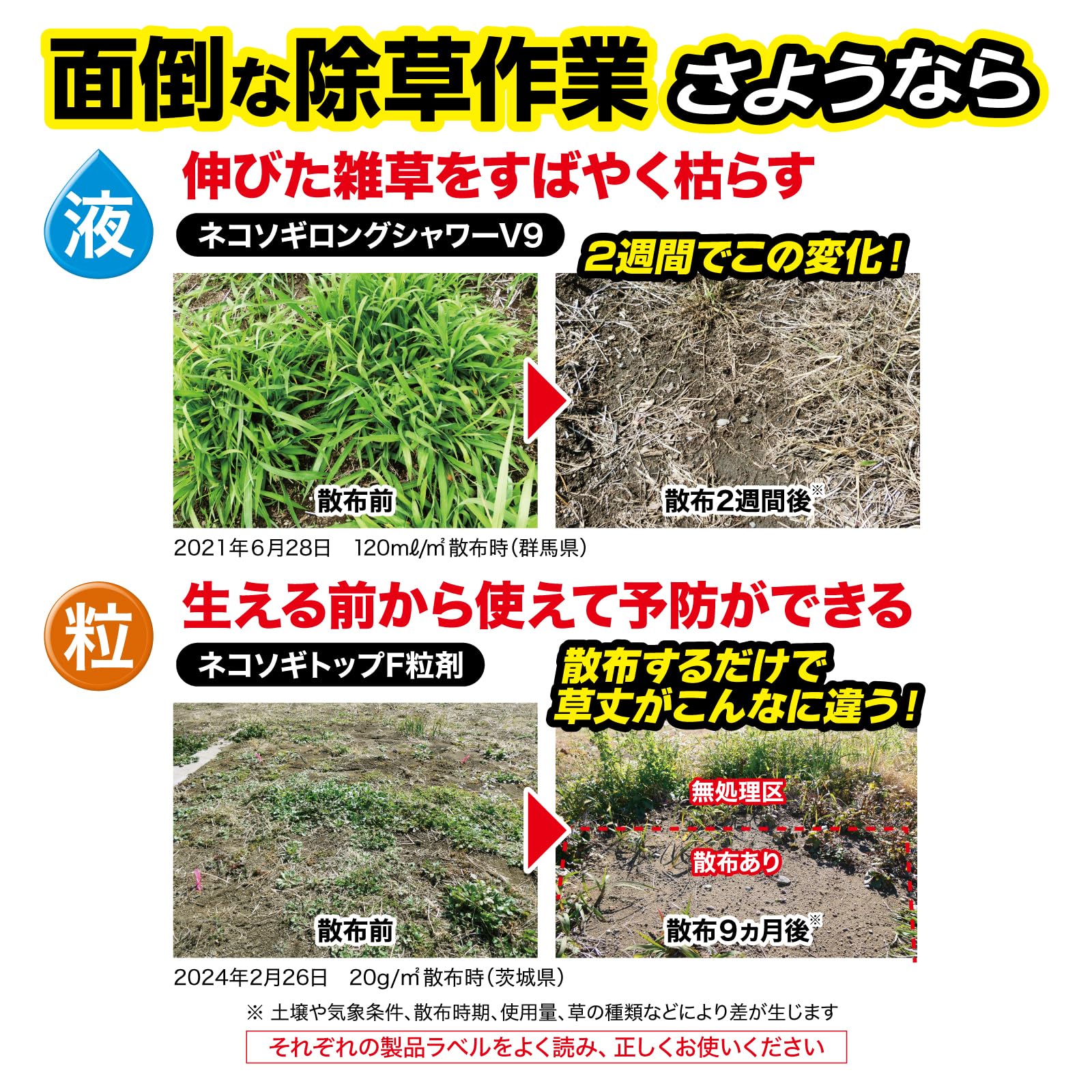 ネコソギ　2個セット Amazon.co.jp: レインボー薬品 除草剤 ネコソギエースV粒剤 2kg